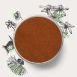 Organic Chaga Mushroom Powder | Buy Chaga Tea | Chi Chaga