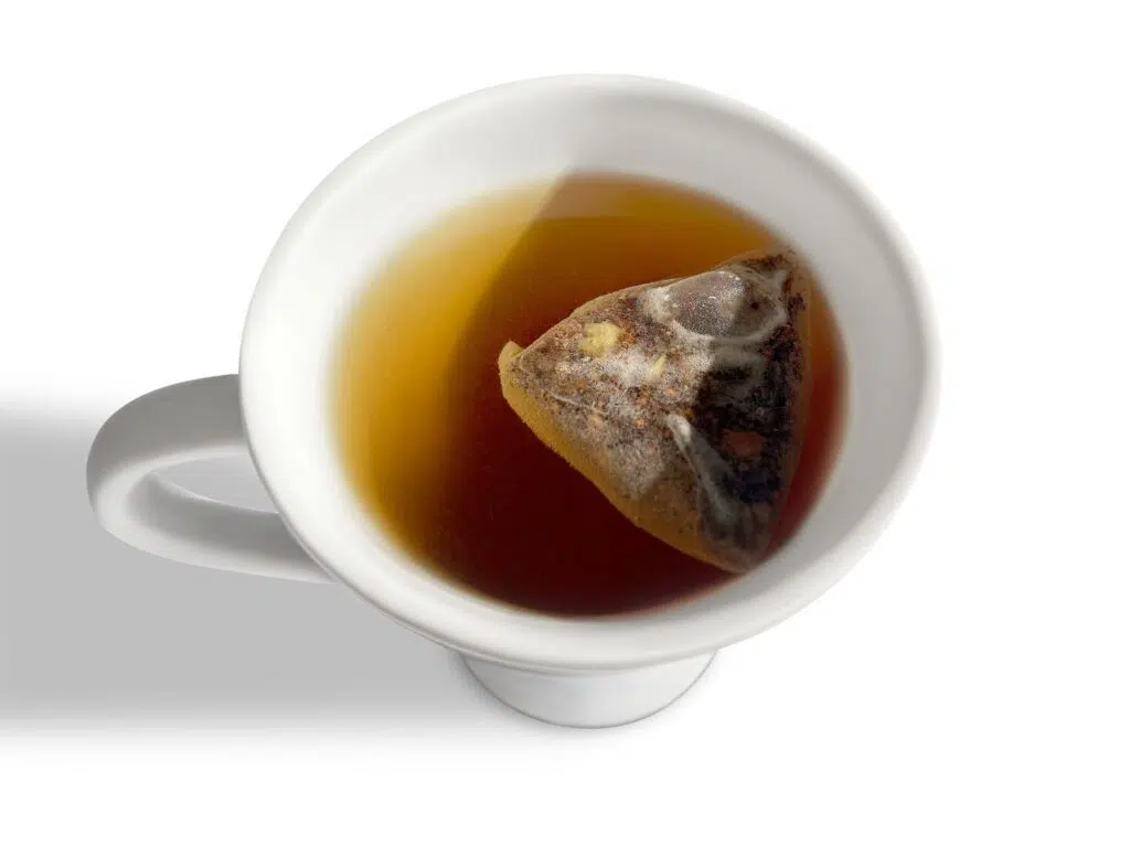 Chaga Mushroom Tea and Chai Blend - Image 3